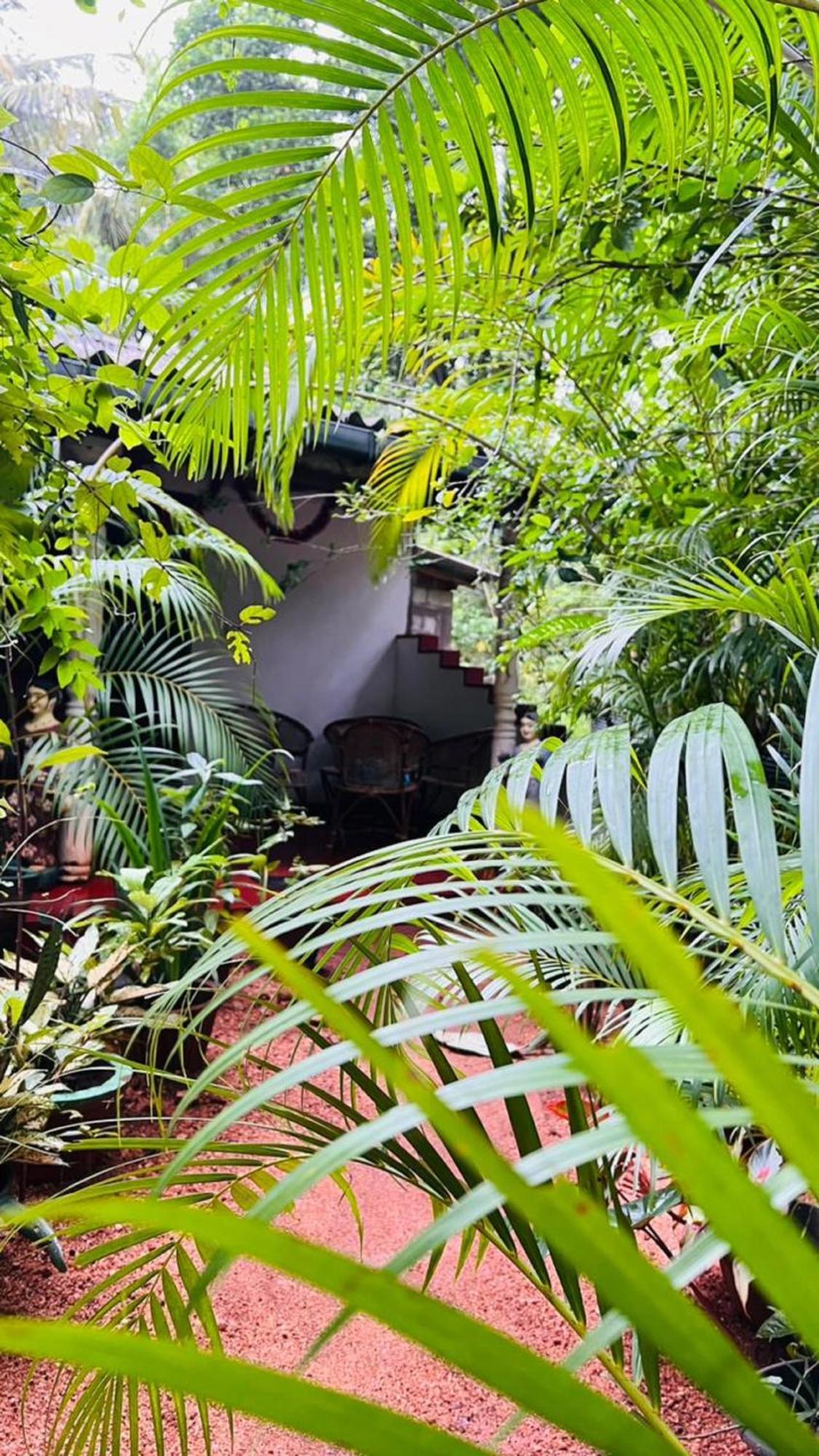 Sigiriya K P Family Home Stay Dış mekan fotoğraf