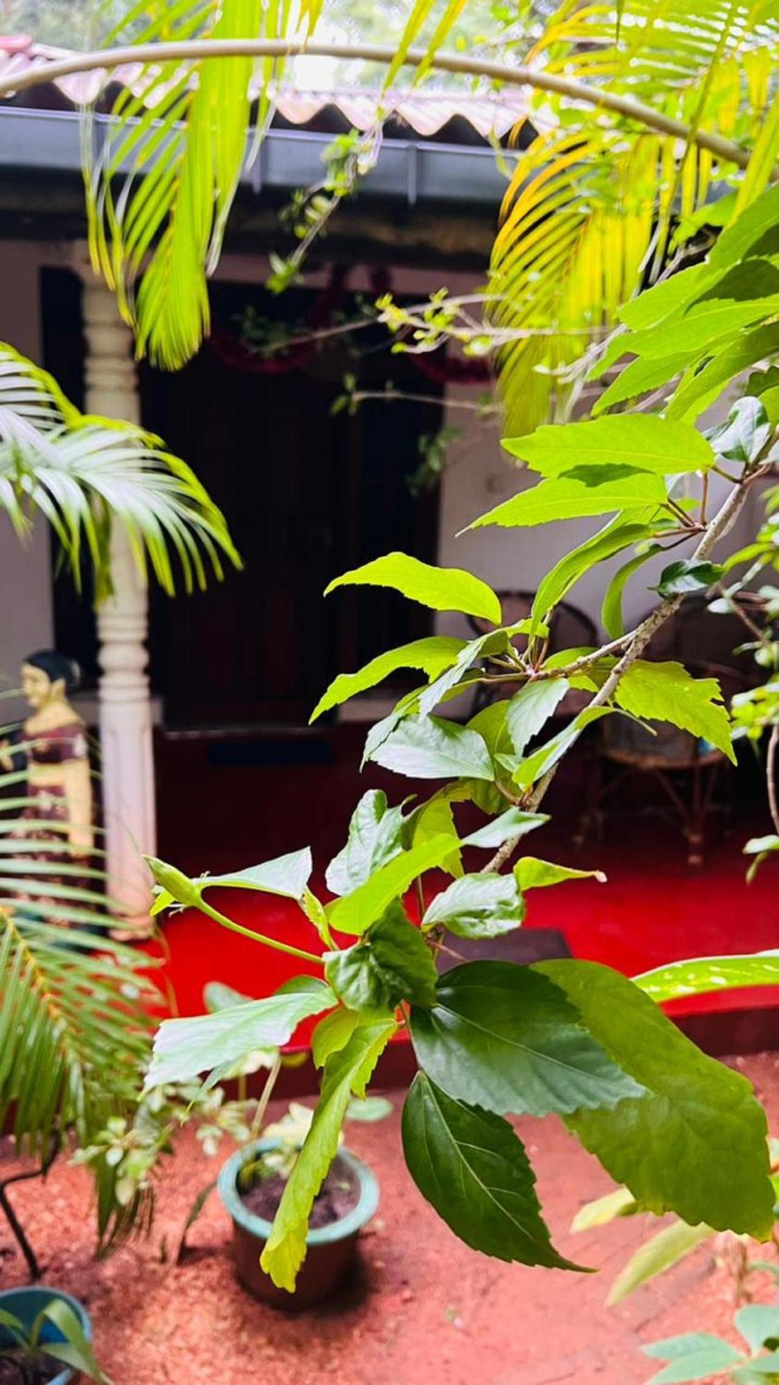 Sigiriya K P Family Home Stay Dış mekan fotoğraf